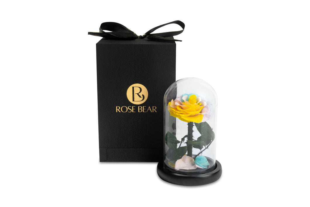 Rainbow Eternity Rose in Glass Dome