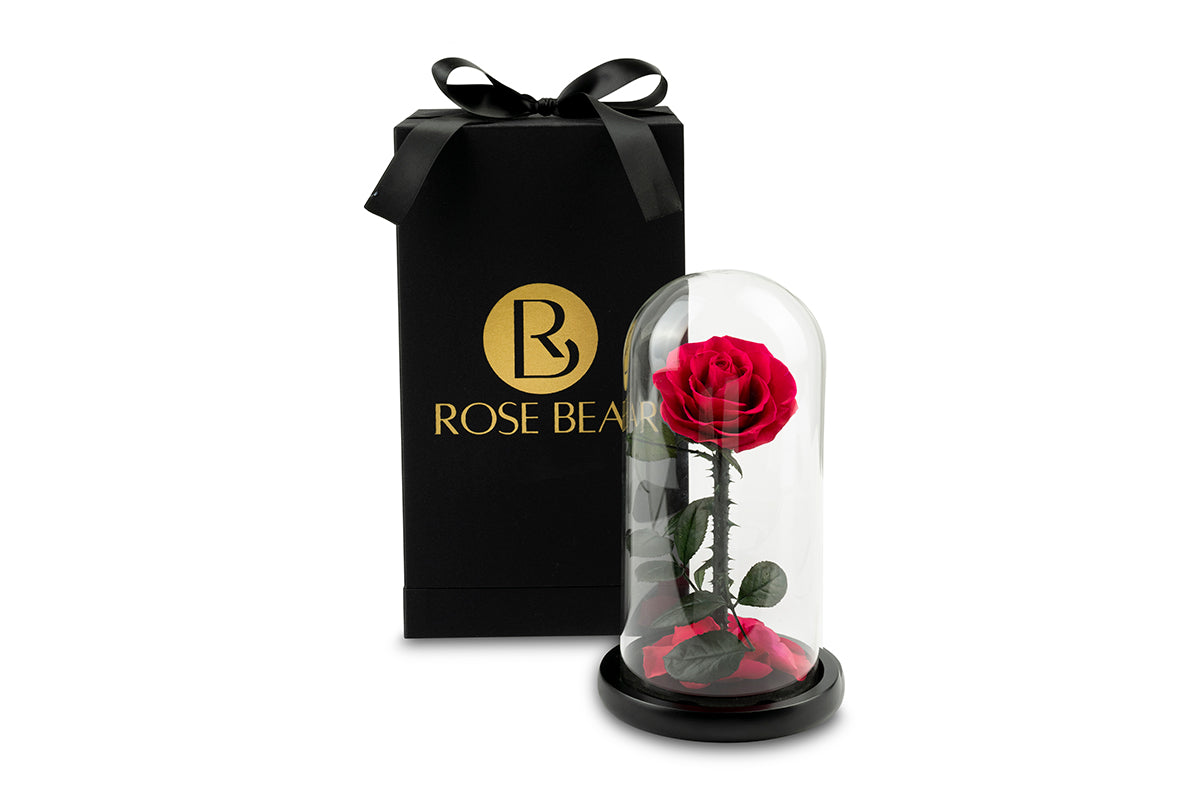 Pink Eternity Rose in Glass Dome